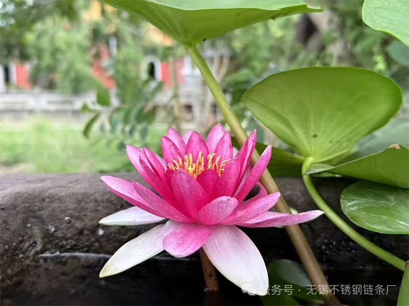 微信圖片_2025-08-16_102929_805.png